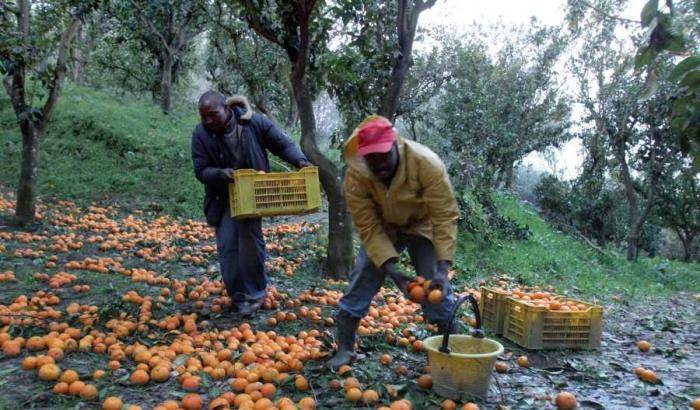 La tratta per sfruttamento lavorativo cresce. 